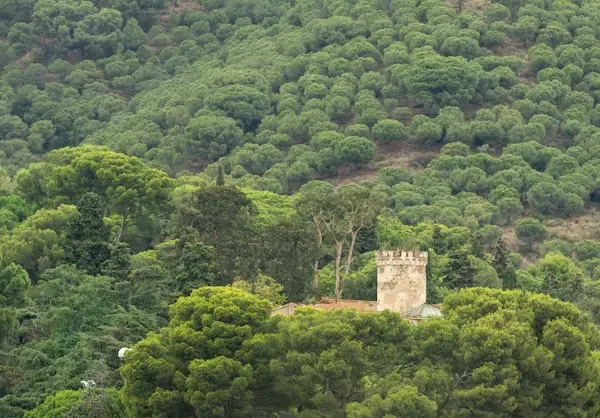 Conexión con la naturaleza