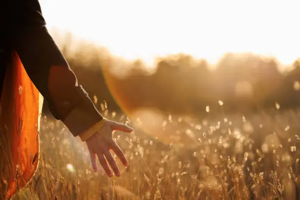 Mano tocando una flor